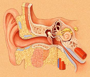 低频噪音怎么取证,如何隔绝低频噪音