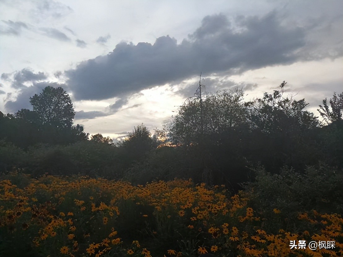 西安香格里拉消费价格,西安香格里拉在哪个区