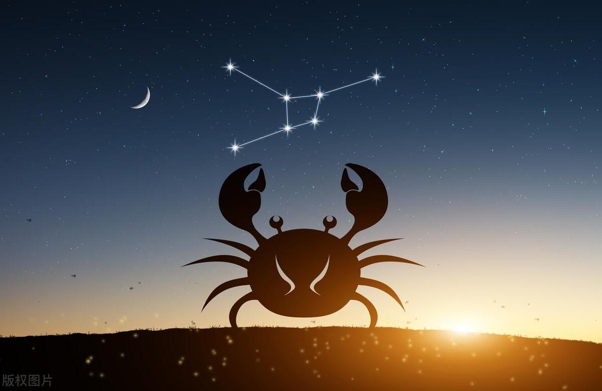 十二星座最适合做什么工作,十二星座最适合干什么工作