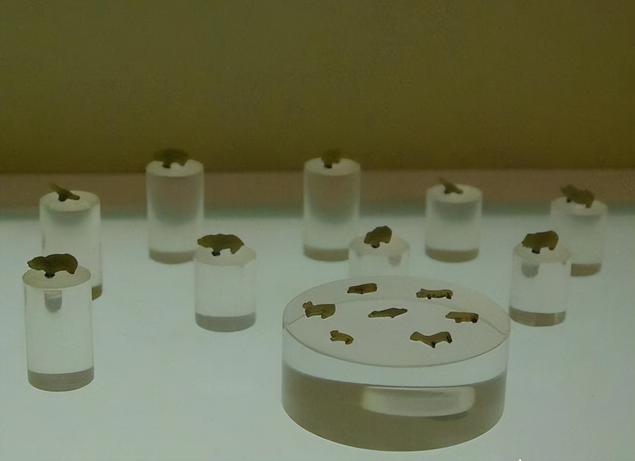 曾侯乙的身份象征,曾侯乙七大未解之谜