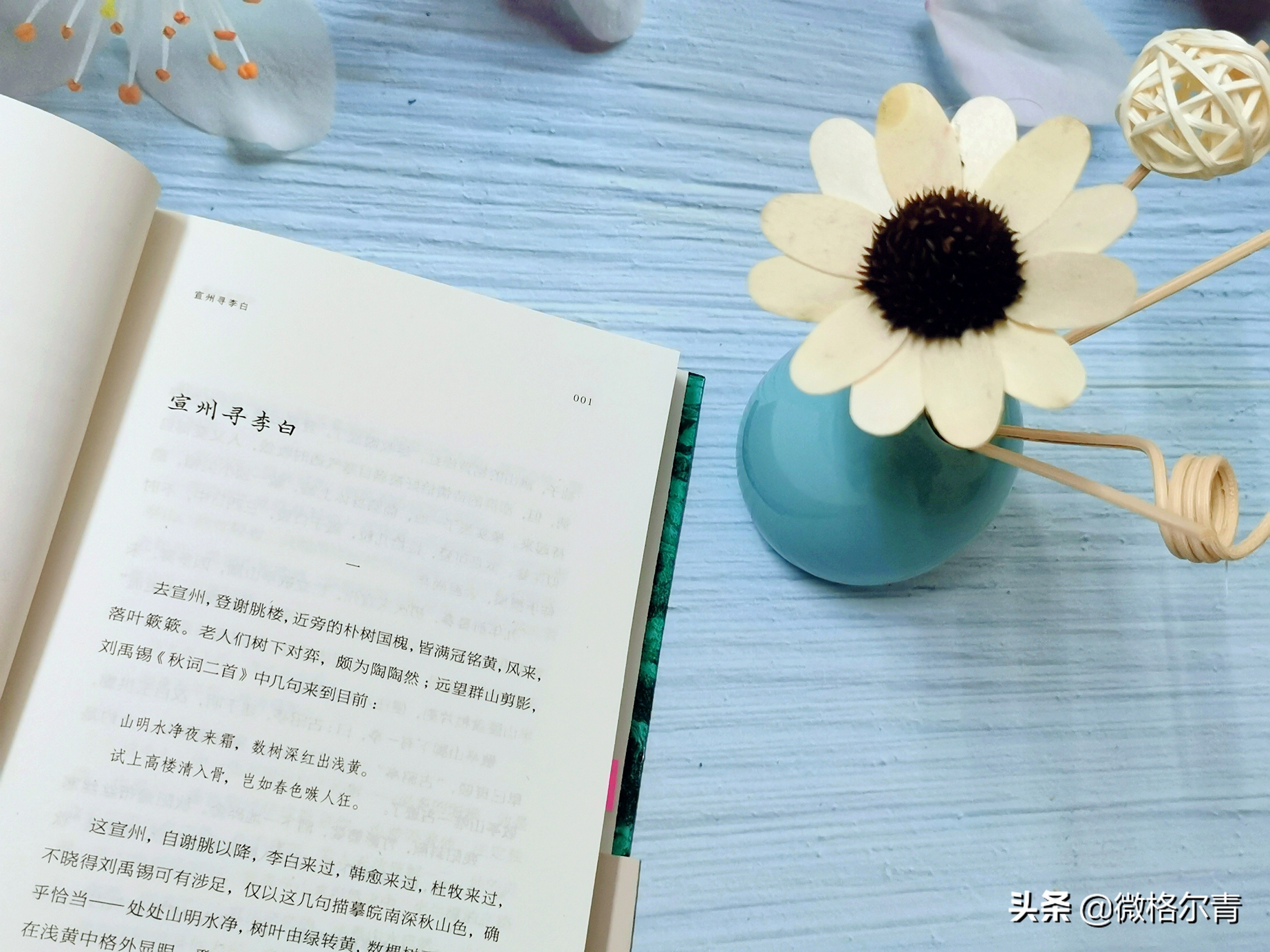 娌冲北鍐岄〉姣忕瘒瑙ｈ,娌冲北鍐岄〉