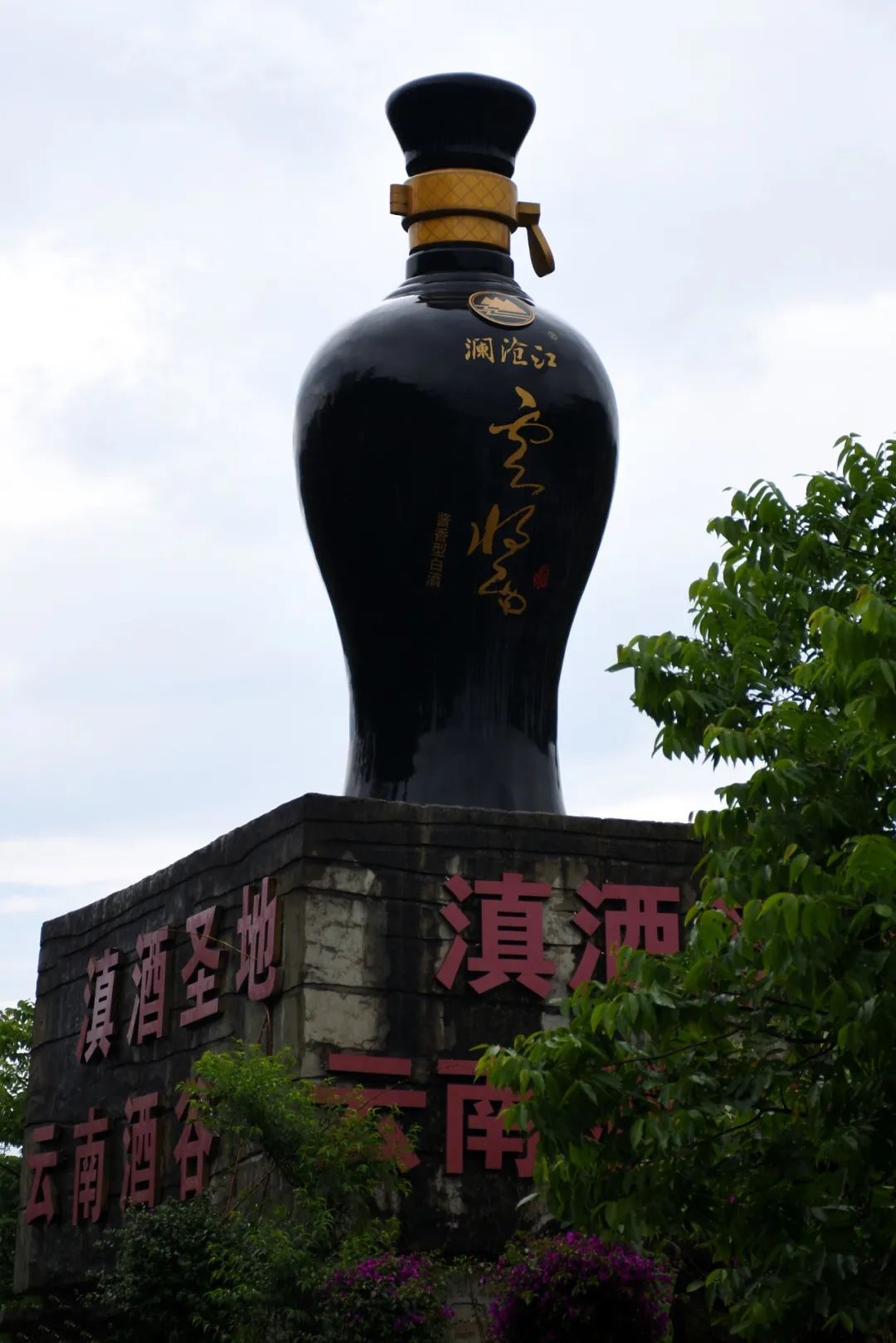 拐枣可以泡水和泡酒,拐枣与肉桂泡酒功效