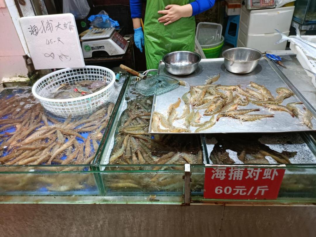 深入研究了青岛海鲜市场后，我重新理解了可持续的食物系统