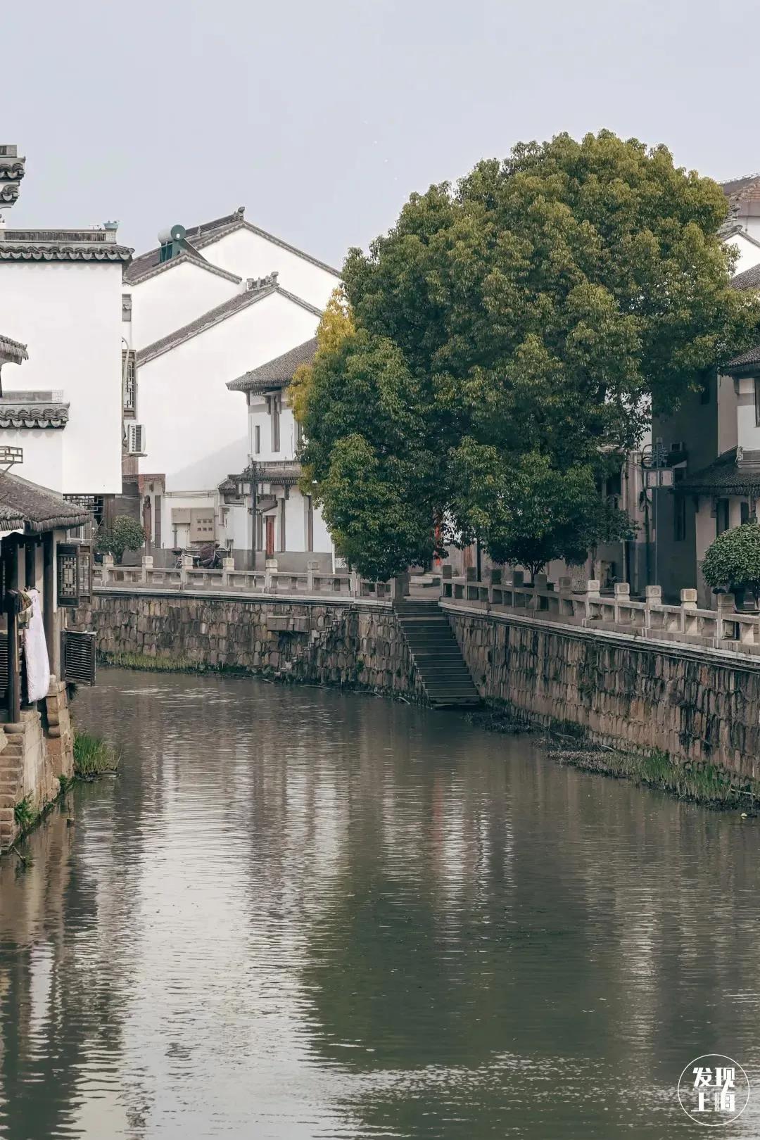 一定要去的八个超美小众古镇,上海魔都踏春好去处