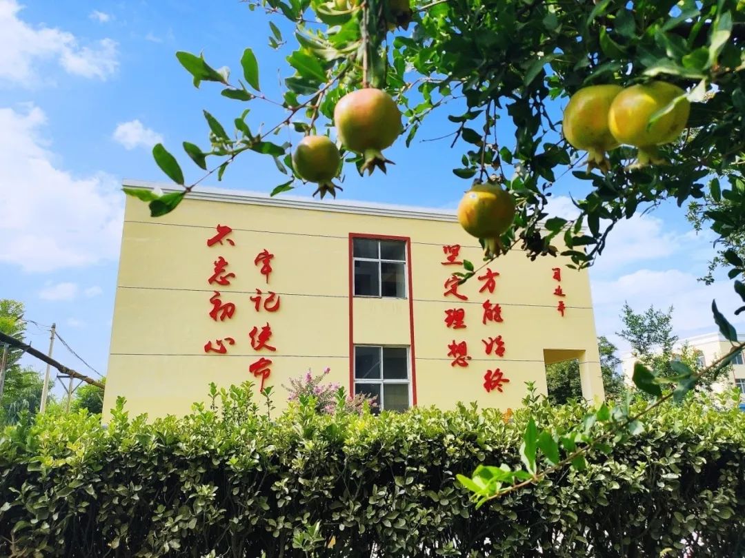 卫辉天瑞水泥质量怎么样,卫辉市天瑞水泥郑州办事处