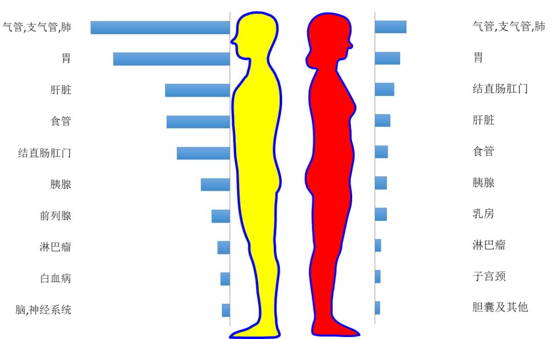 常州疫情最新消息,常州癌症高发区