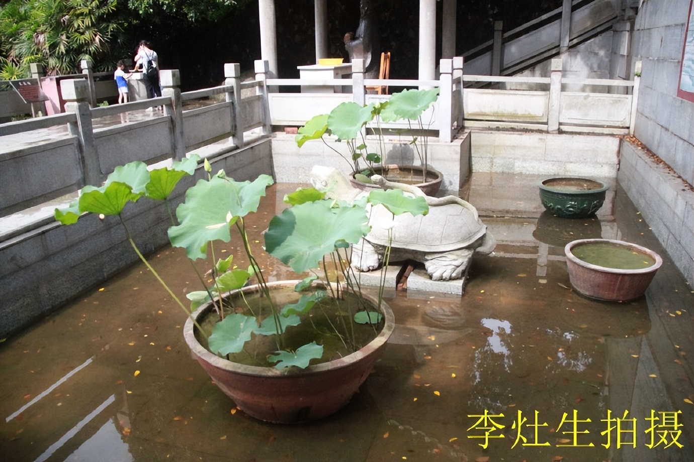 杨四将军庙简介,杨四将军庙在哪个位置