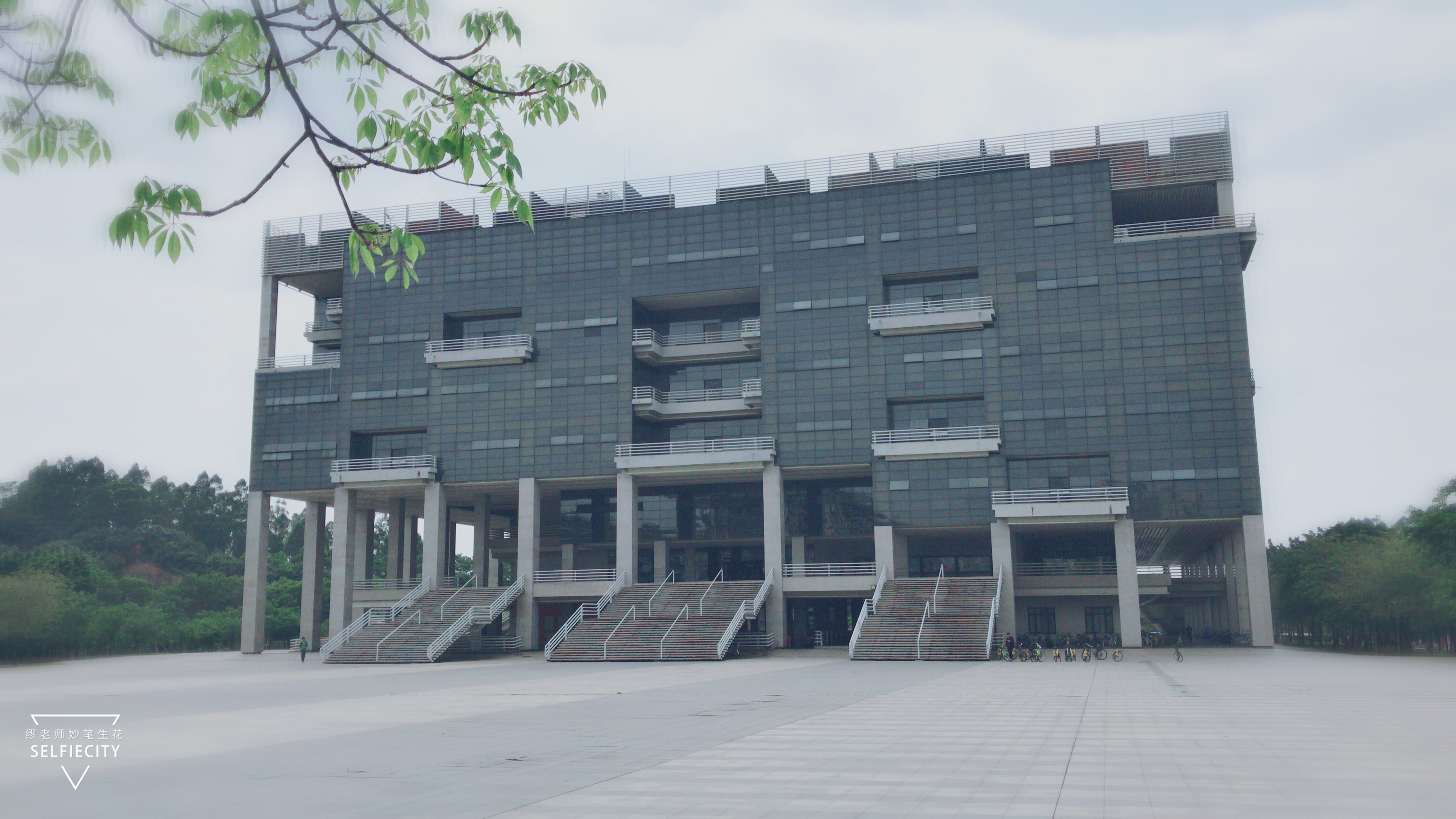 “双一流”的漏网之鱼：9类36所大学，47个A类学科