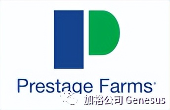 世界顶尖饲料企业排名,全球生猪养殖企业排名