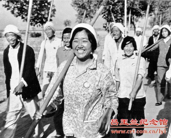 玉兰花开时，我们怀念她——闻名全国的劳动模范、农村里走出的省委书记……