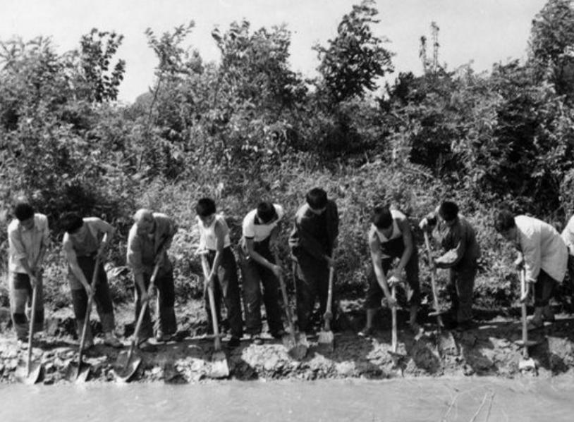 “蛊”究竟是什么？1958年我国蛊病泛滥成灾，毛主席亲自部署