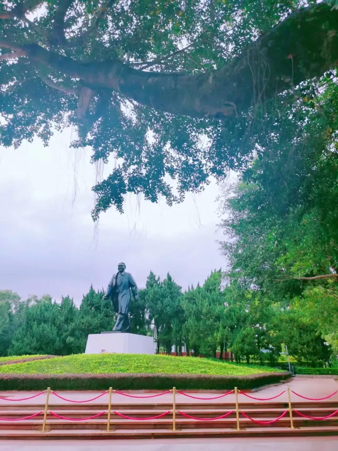 深圳欢迎你歌曲,深圳欢迎您搞笑图片卡通