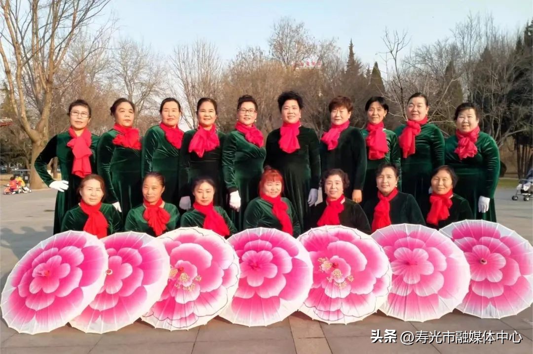 寿光大棚致富项目,寿光新农业项目