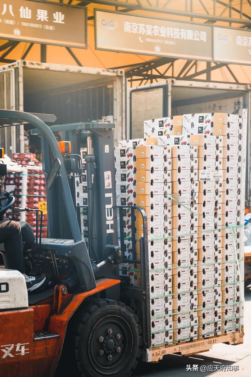 南京人囤物资,众彩年货攻略大全