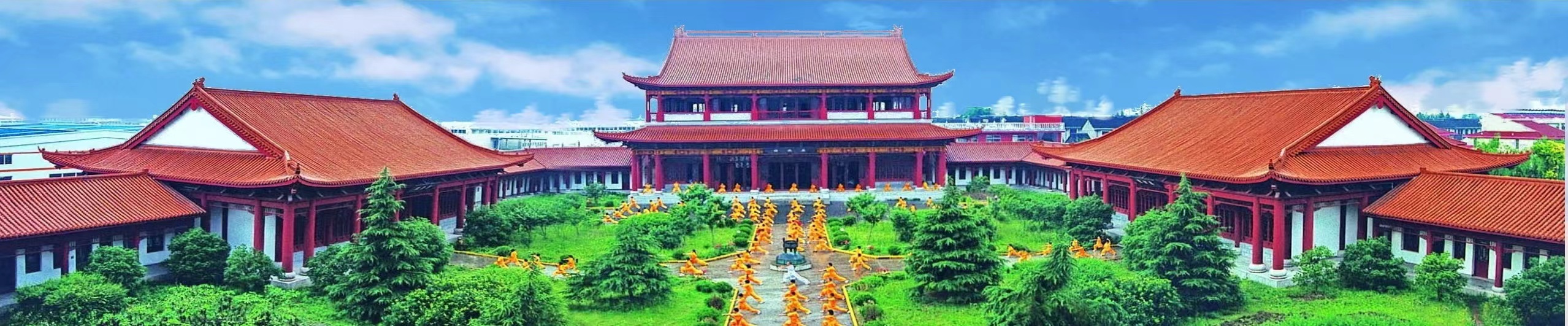 有没有专业武术培训的地方,江桥武术培训