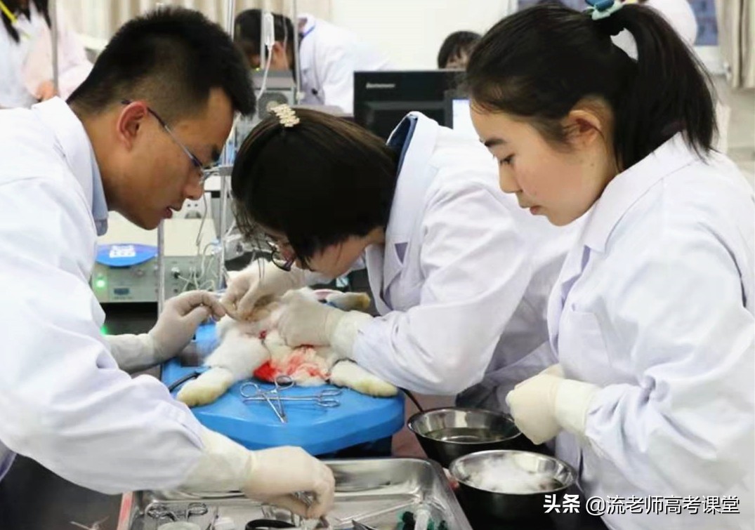 贵州最好的医科大学是什么,贵州医学类本科学校有哪几所