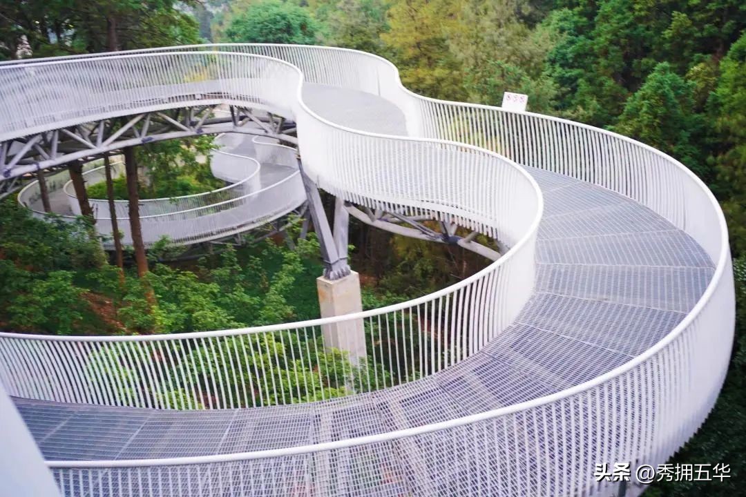 哇晒昆明|最爱为运动花钱的昆明人，有啥花样玩法？