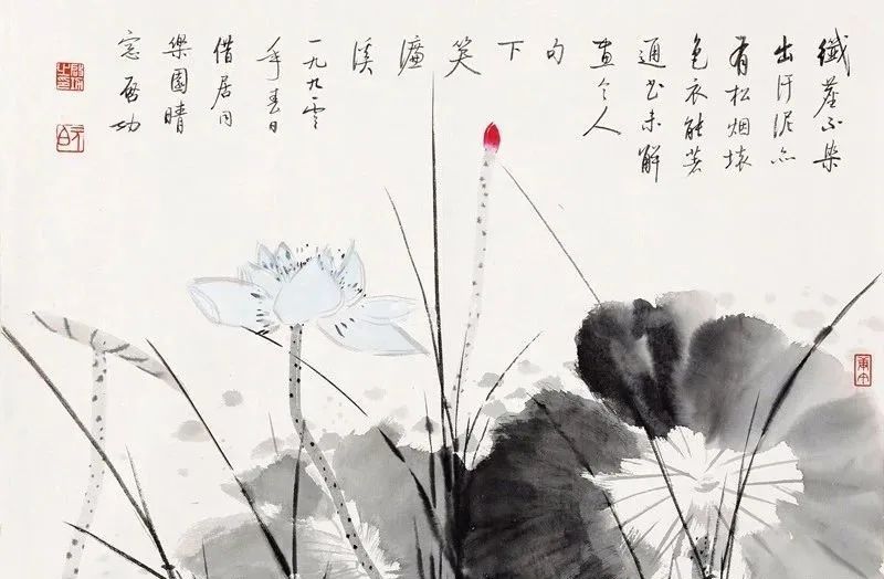 启功荷花作品欣赏,启功《荷上花帖》