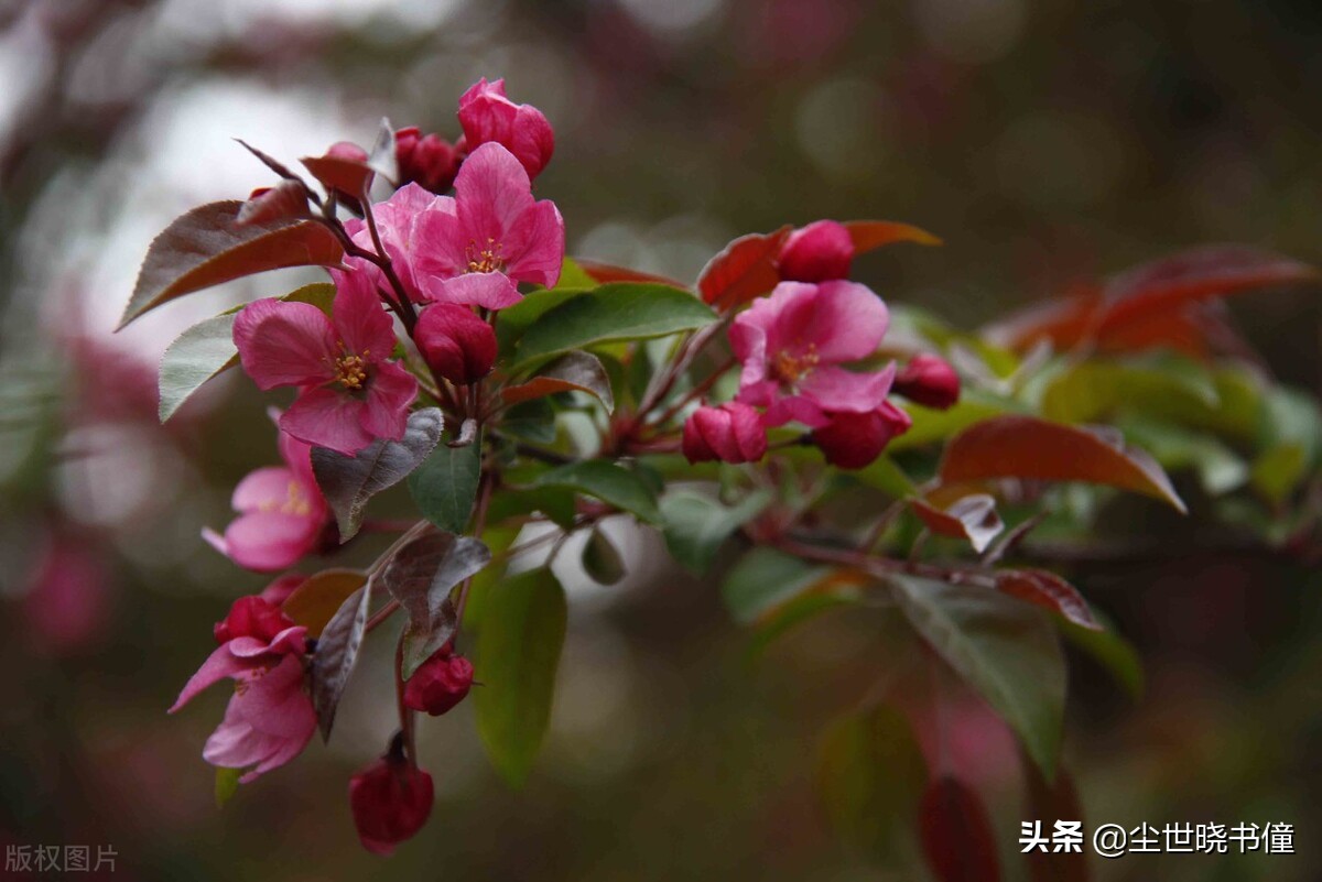 自我反省的哲理至理名言句子,富含哲理的哲学名句
