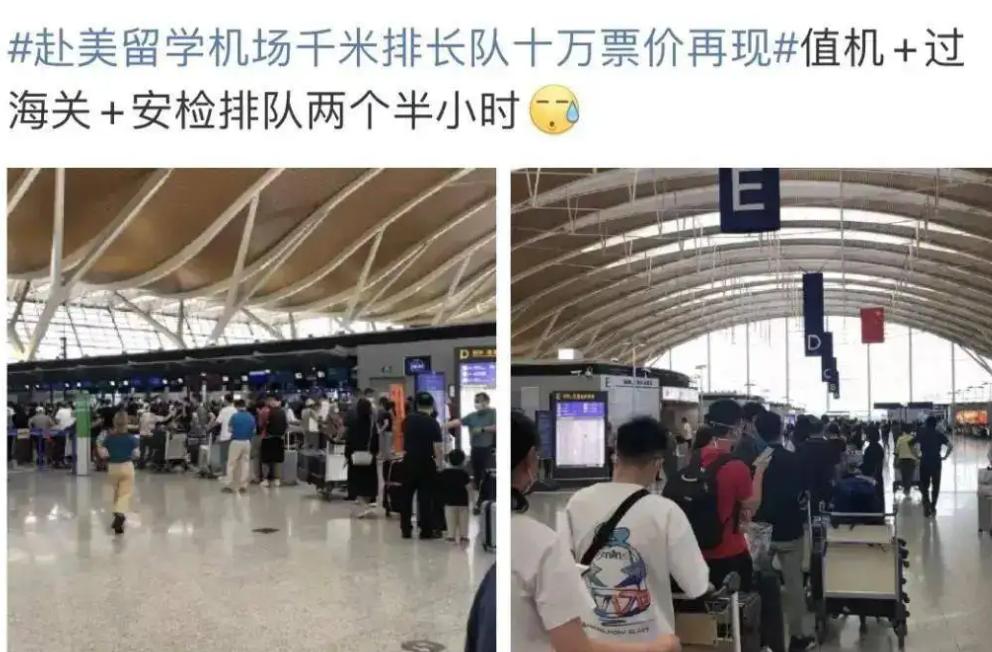 留学生不如985毕业生,海归硕士不如统招本科