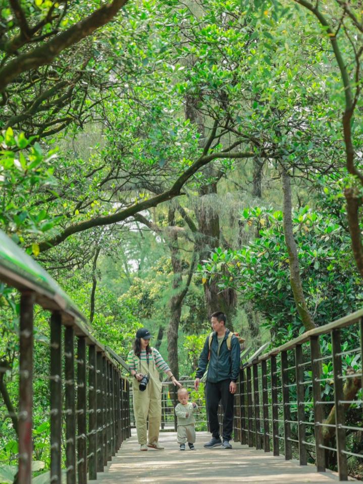 暑假遛娃好去处深圳,暑期遛娃好去处深圳