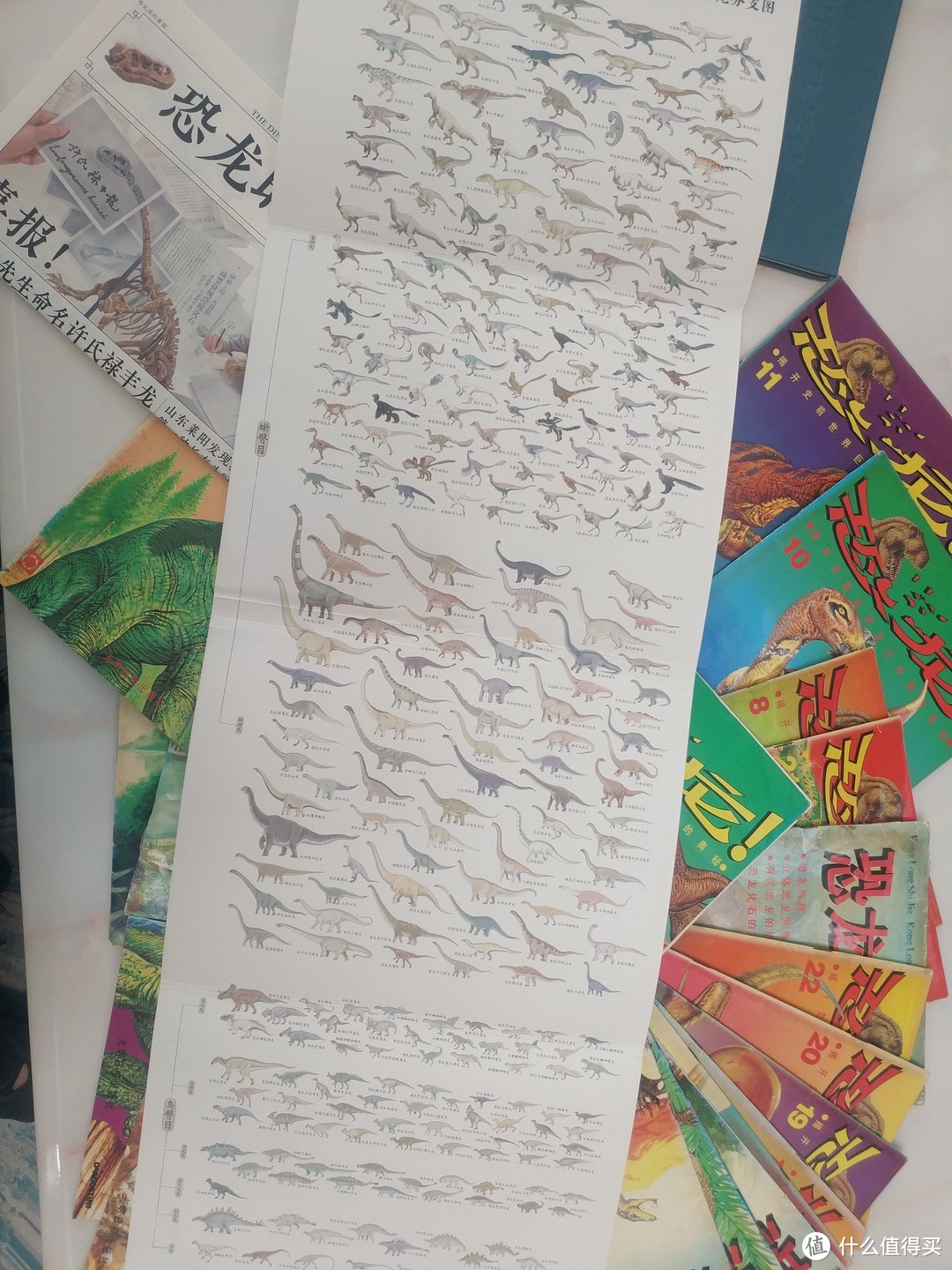 中国恐龙地图,你不知道的中国十大恐龙之乡