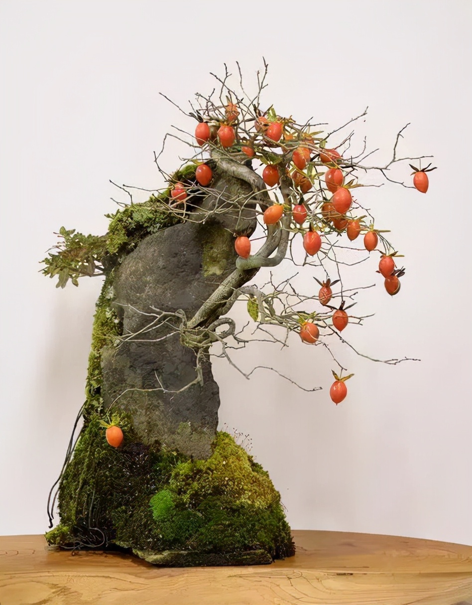 百花齐放春意浓群芳争艳,百花齐放喜迎新春