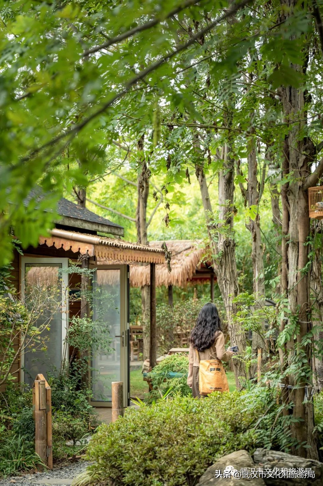 九月，秋风吹进武汉人的小院