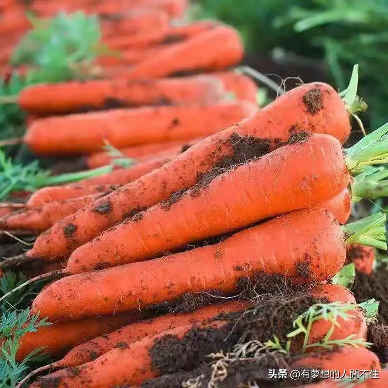 生活小妙招如何辨别食物,生活实用小妙招辨别食物真假