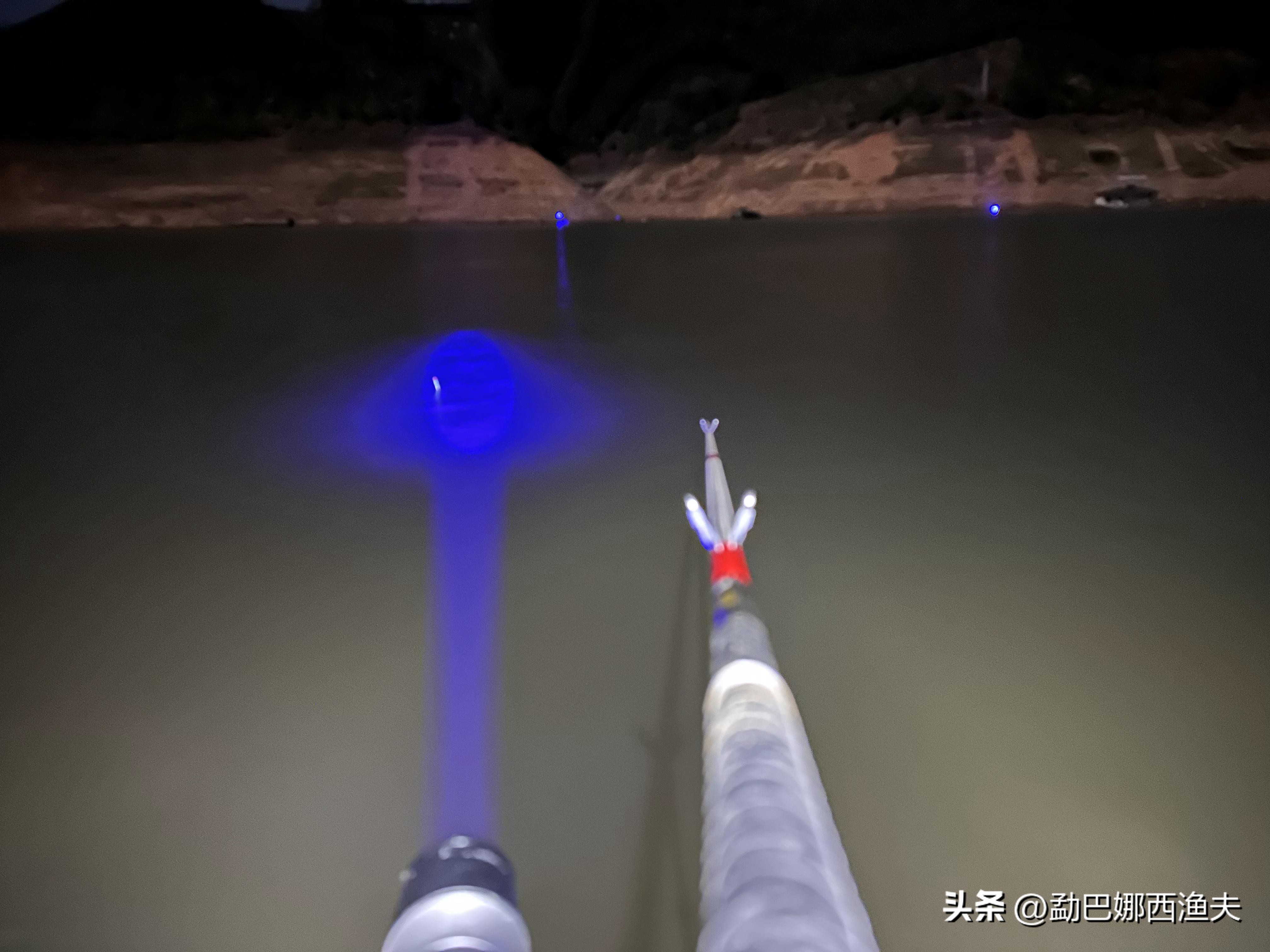 2020万峰湖野钓大罗非,万峰湖陇纳村野钓大罗非