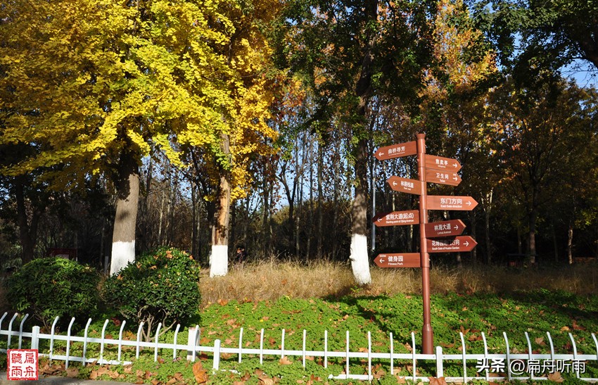 7月郑州凉快遛娃公园排行榜,郑州龙子湖避暑遛娃的地方