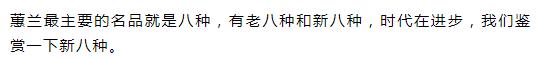 新手盆栽兰花最好选择哪些品种,适合家养的兰花品种有哪些盆栽