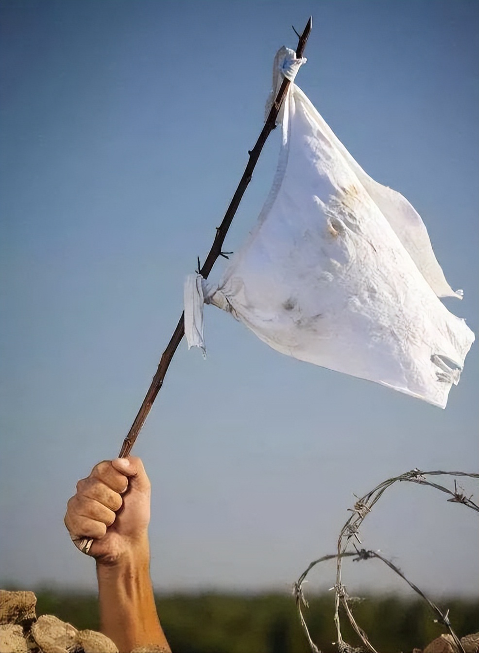 如何薅美国的羊毛？这份攻略，让美国被世界薅了十年