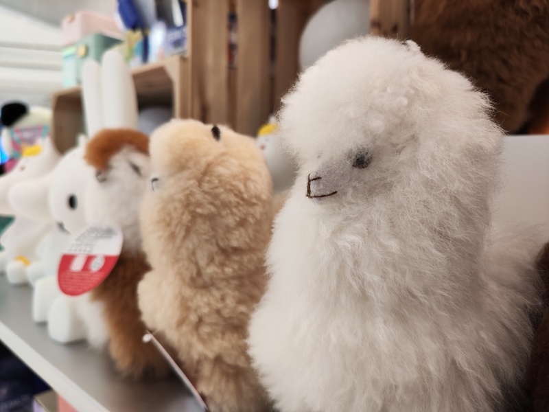 深圳ENJOY｜抵达未来！华南首个车库美术馆来了