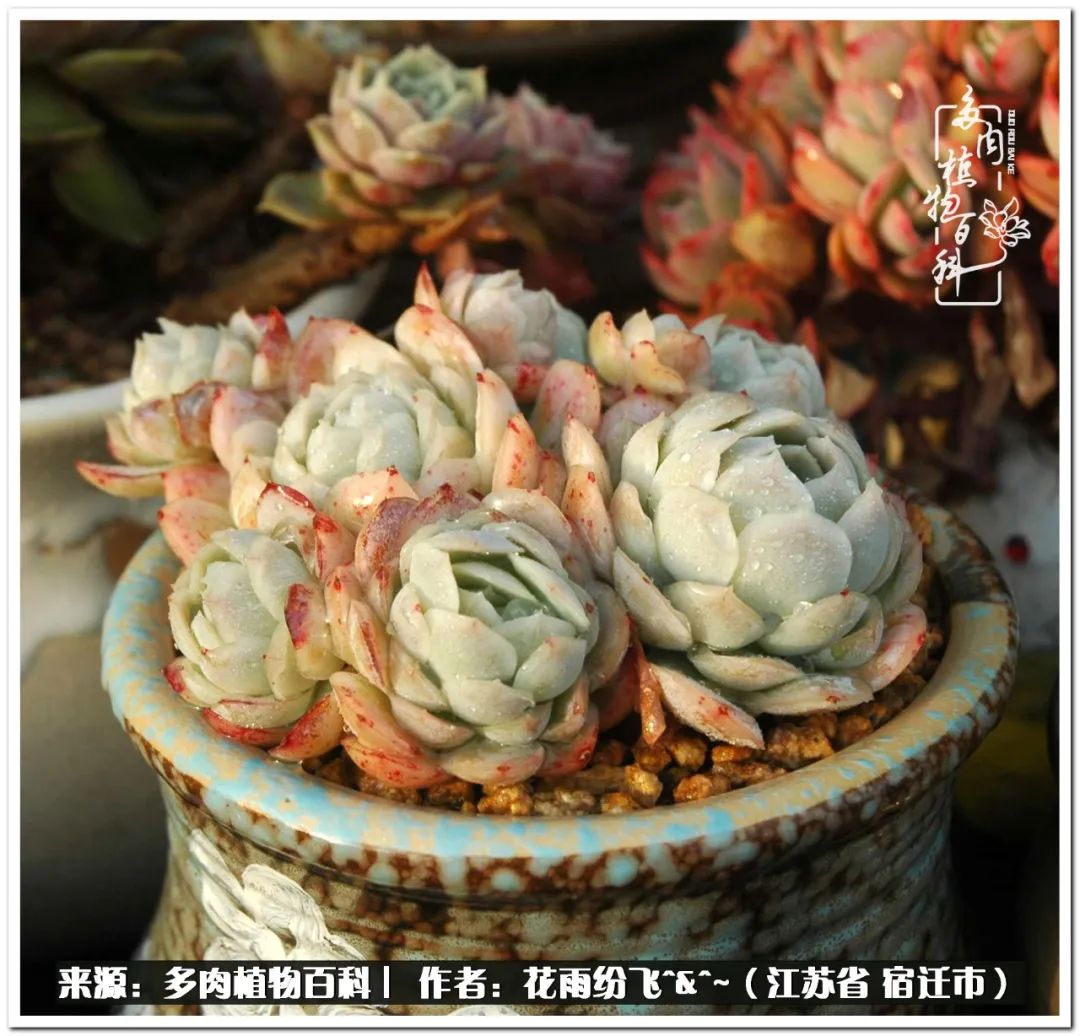 回味童年无忧无虑的快乐时光,童年最快乐的时光