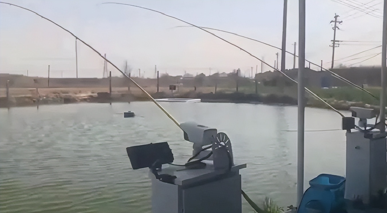 就因为QQ登录二维码，全网发生了大规模的社死