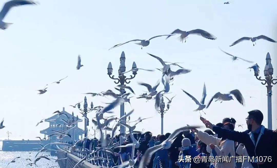 “这就是青岛人的素质，我爱青岛！”