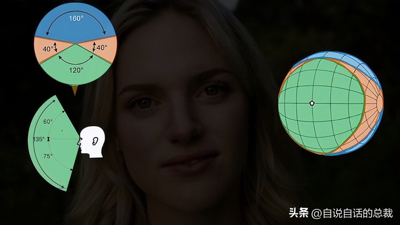 鸭：一鸭战四虎？弹射胜航母？鸭子的真相，也许超乎你的想象