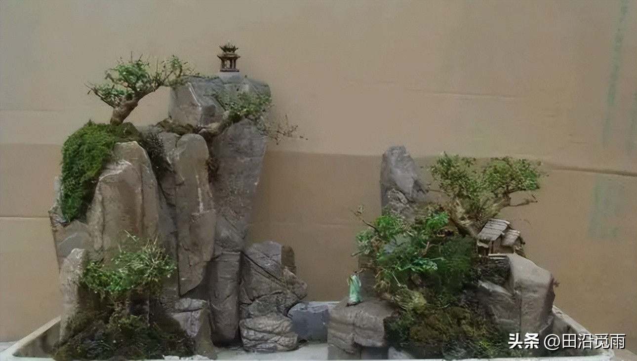 制作盆景的入门造型技巧,微型盆景掌上盆景规模化生产