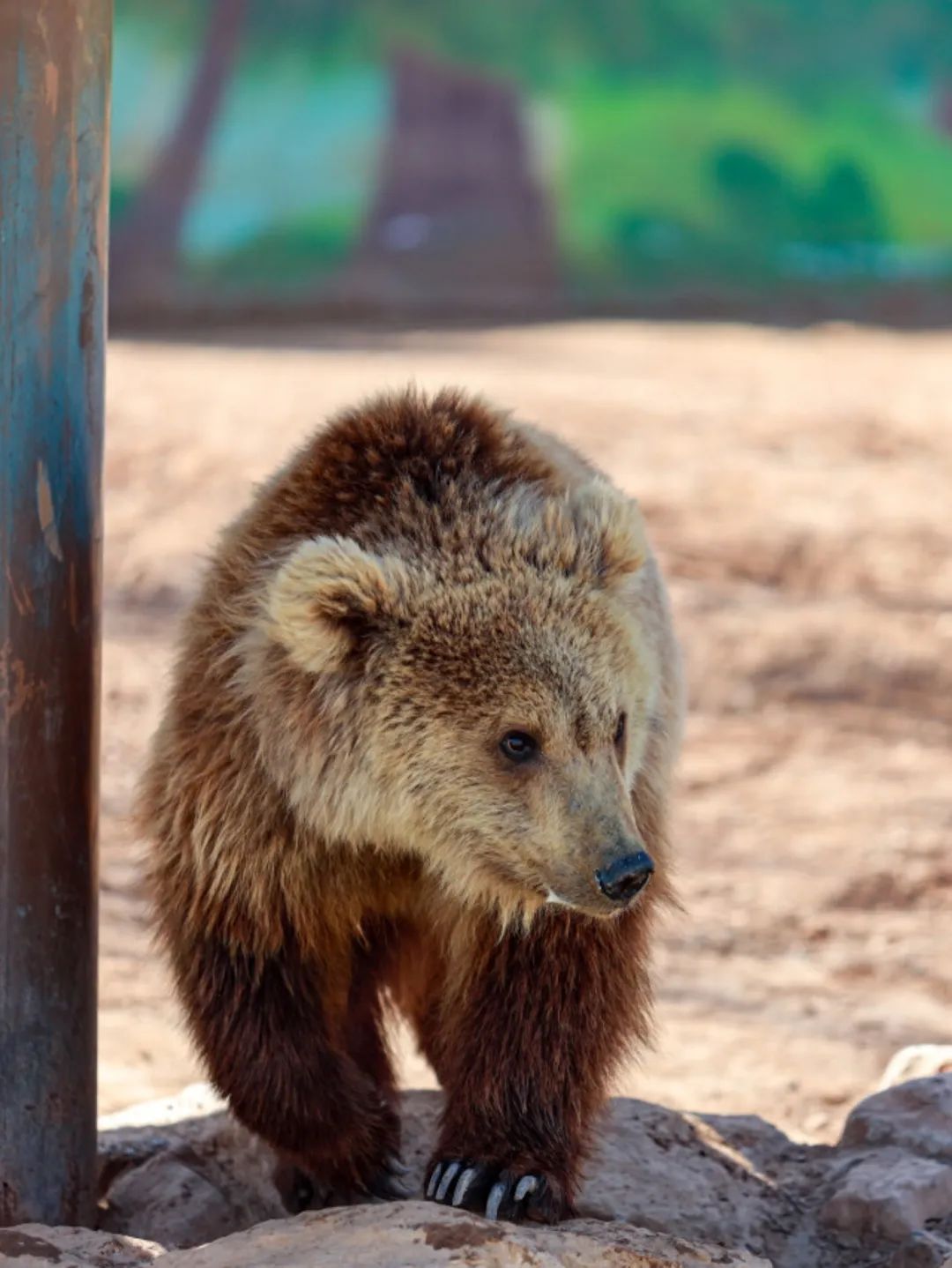 济南遛娃嗨玩这里享优惠,济南遛娃乐园周末