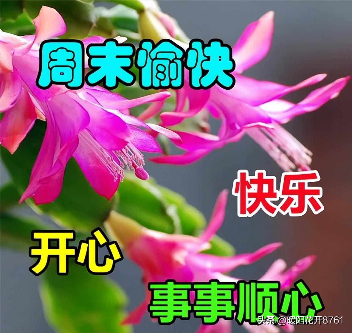 早安周末愉快问候语正能量,周末愉快早安问候语一句话