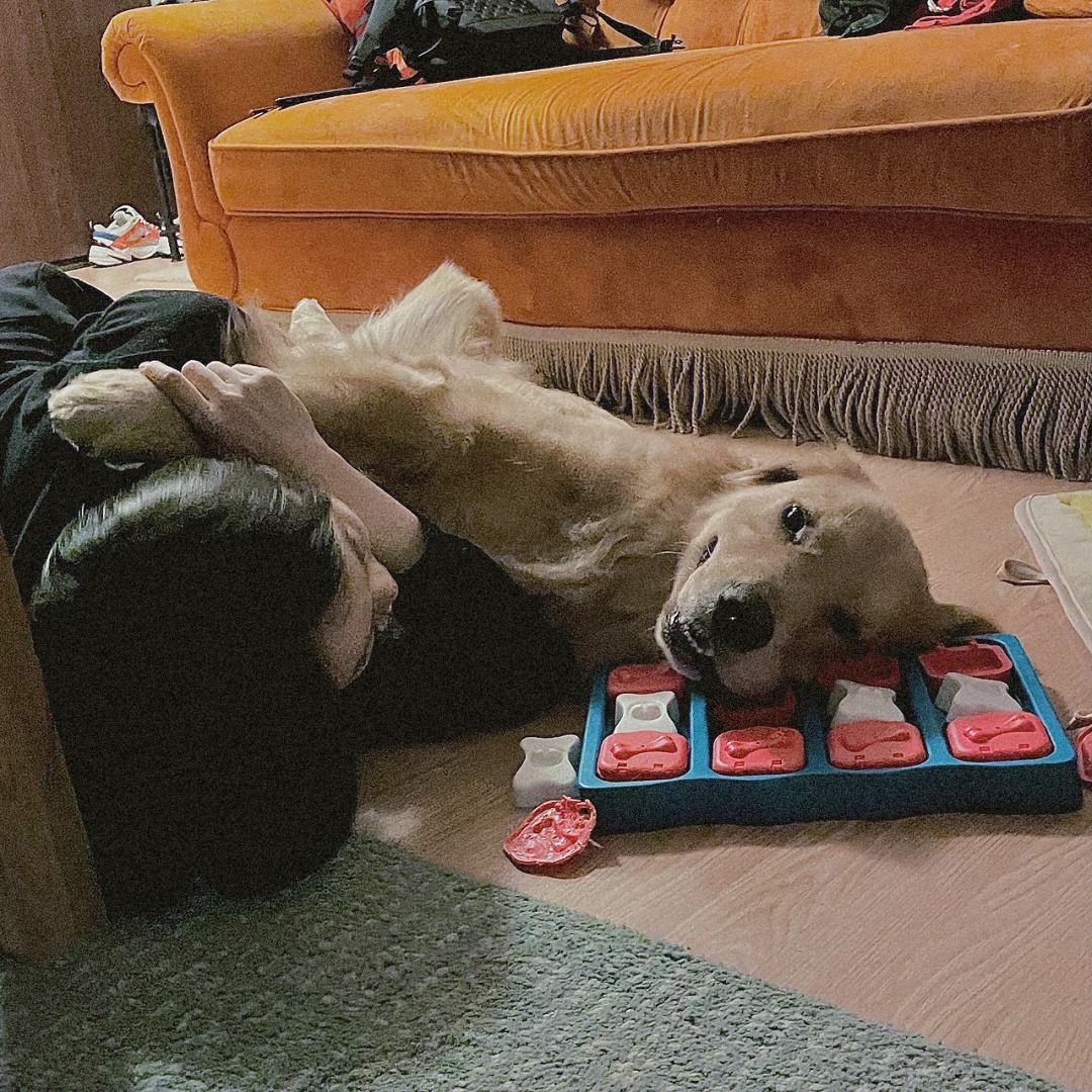 为什么很多人不喜欢养母狗,很多人喜欢养公狗还是母狗