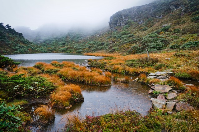 奇侠玉石缘小说最新章节免费阅读,奇侠玉石缘