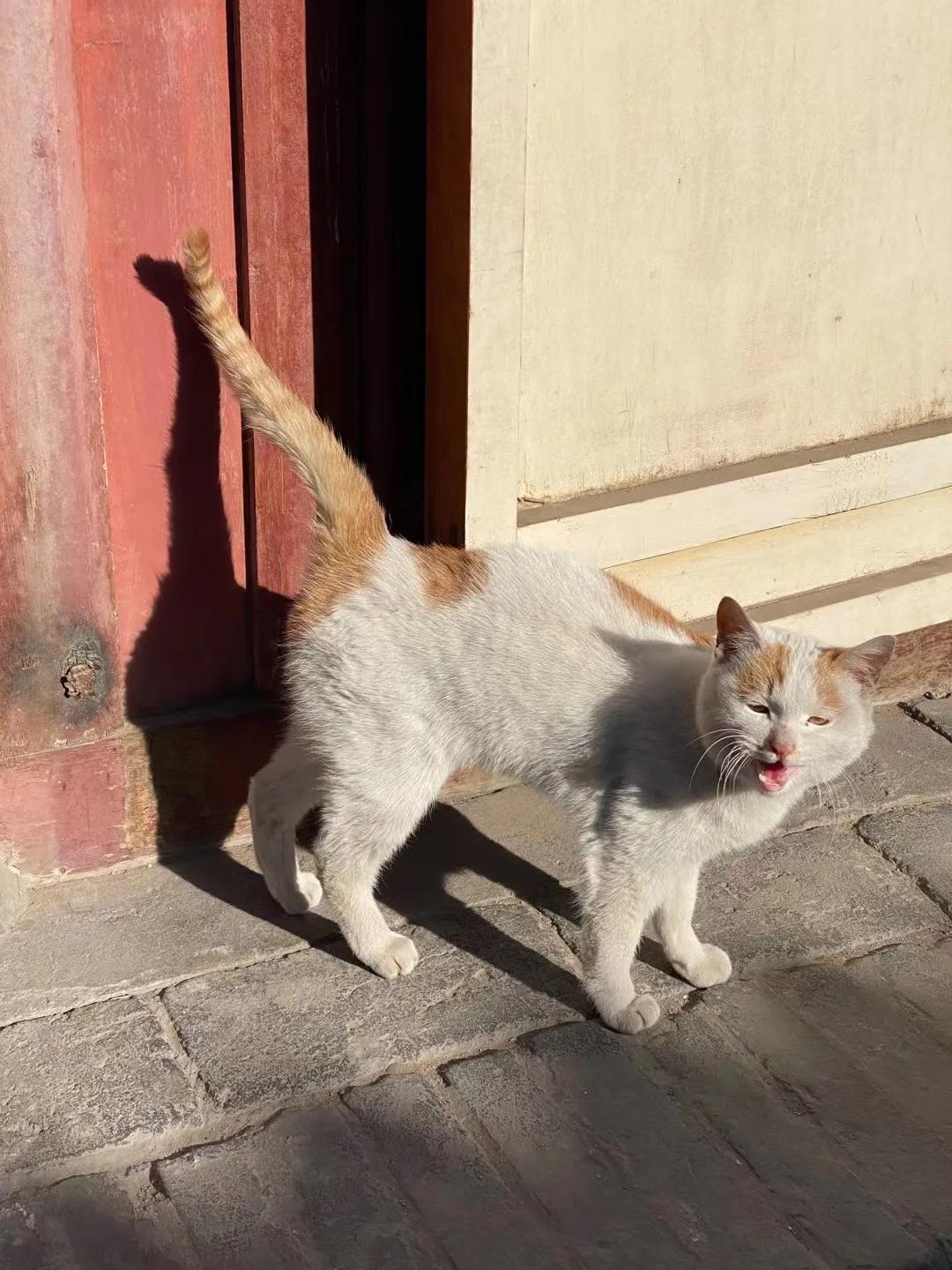 律师多久可以年入30万,大部分律师年收入二十万以内