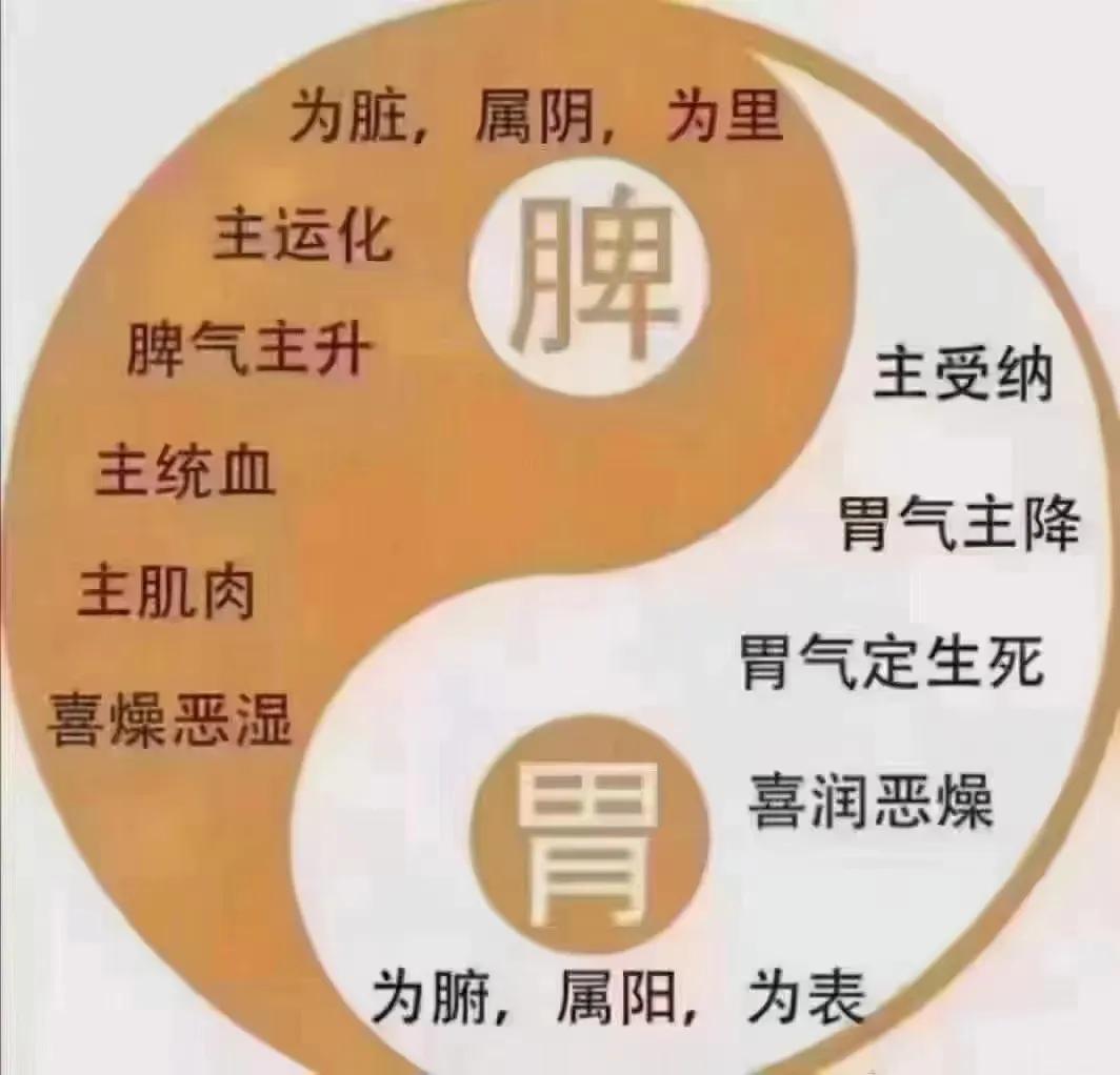 汉佰草纤本家收费标准,汉佰草纤本家揭秘