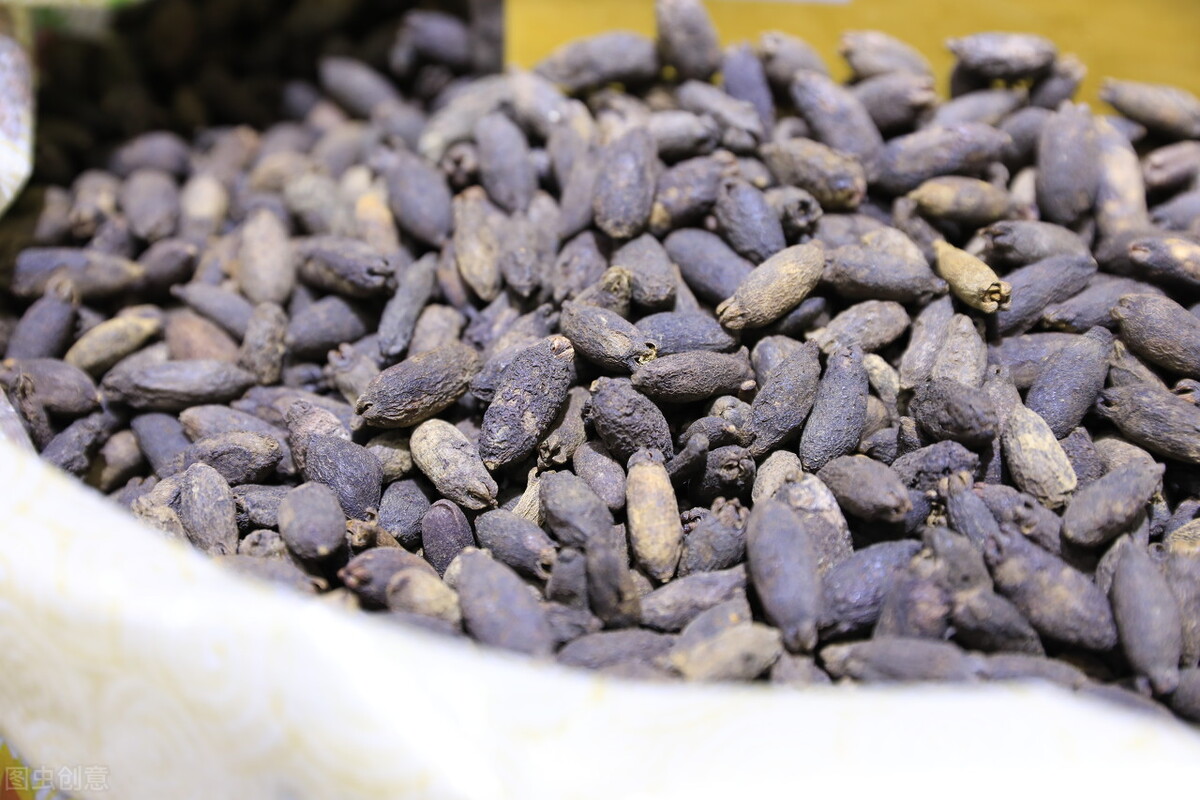 一味中药治失眠耳鸣,治疗神经性耳鸣的食疗法