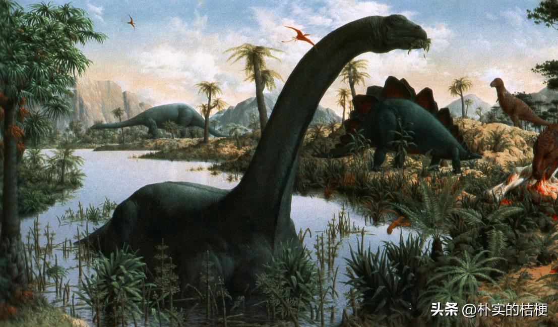 恐龙犯下的错误,恐龙错误代码