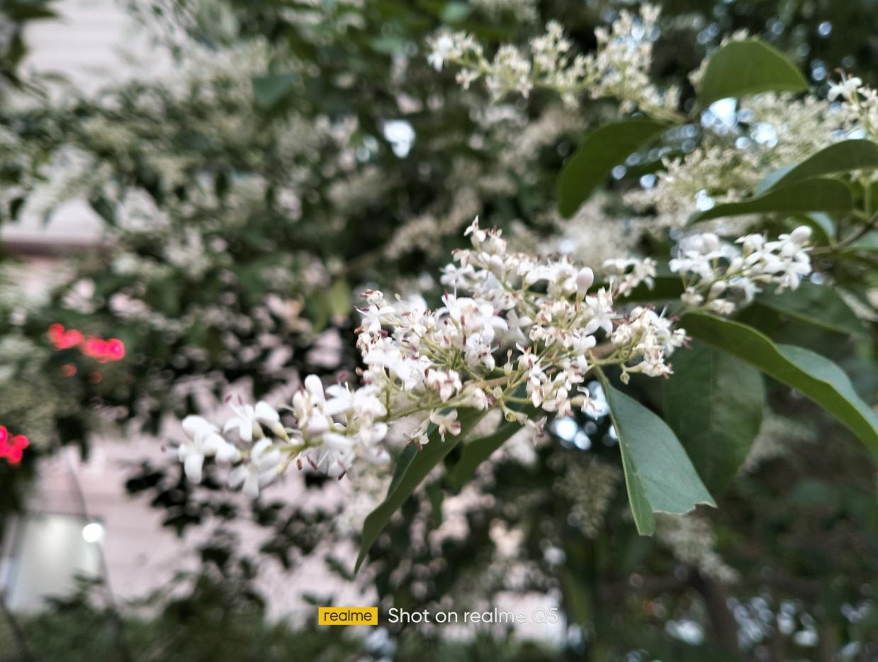 千元机也开始内卷拼体验？真我Q5上手体验，游戏拍照超预期