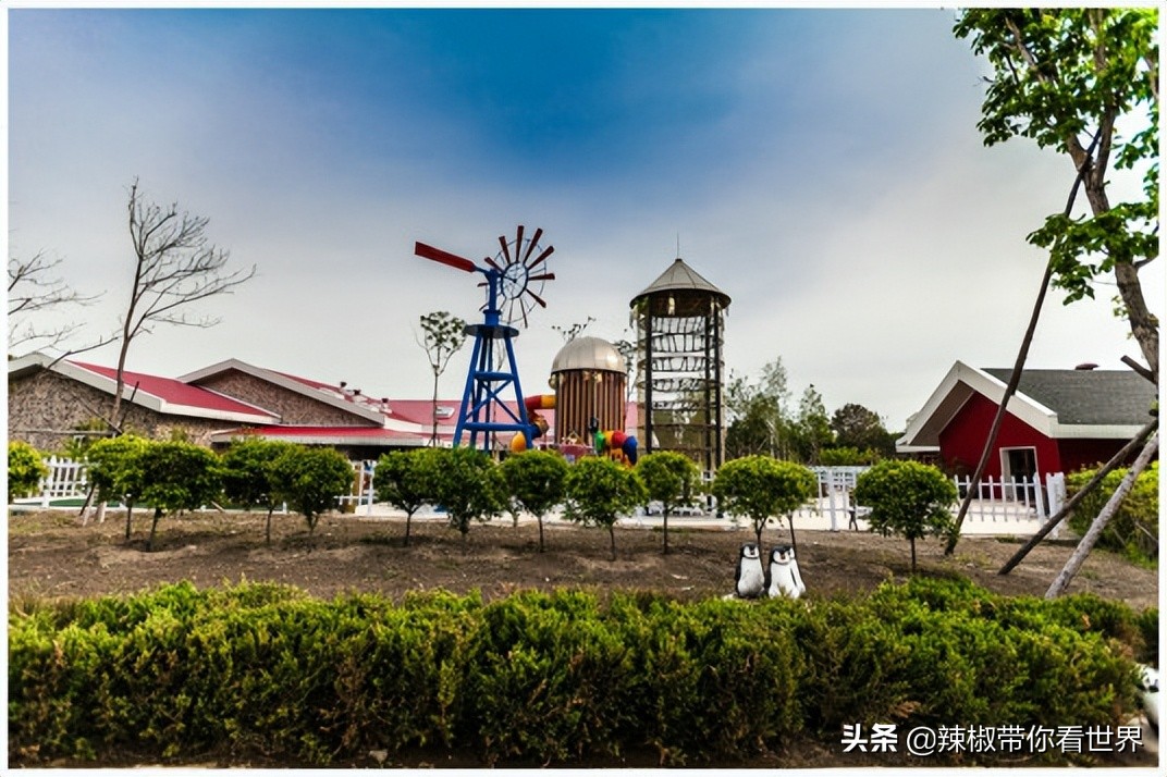 美在黑龙江：走进诗意山水之齐齐哈尔这里是世界大湿地中国鹤家乡