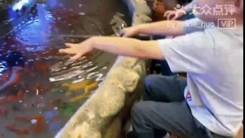 还有哪些适合遛娃的儿童乐园,儿童游乐园假期亲子遛娃好去处